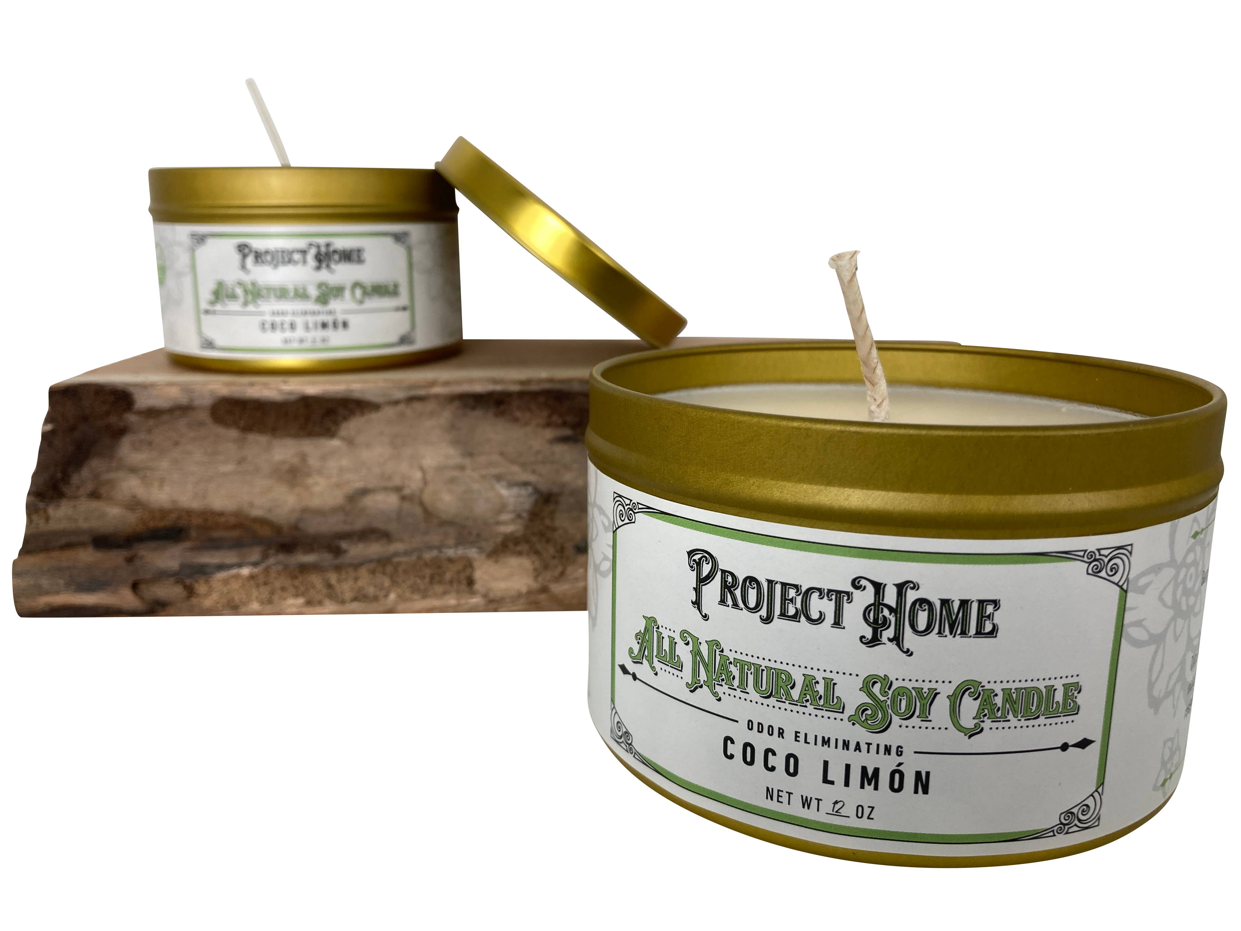 Pet Odor Fighting Candle: Sea Salt / Large (12oz)
